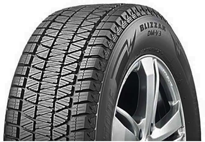Bridgestone BRIDGEST DM-V3 tyre