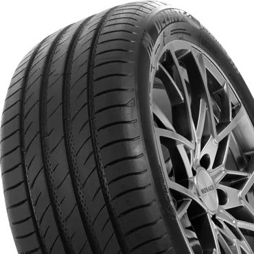 Delinte DS2 XL tyre