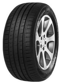 Minerva F209 tyre
