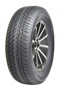 Royal Black ROYAL WINTER HP 88H TL abroncs